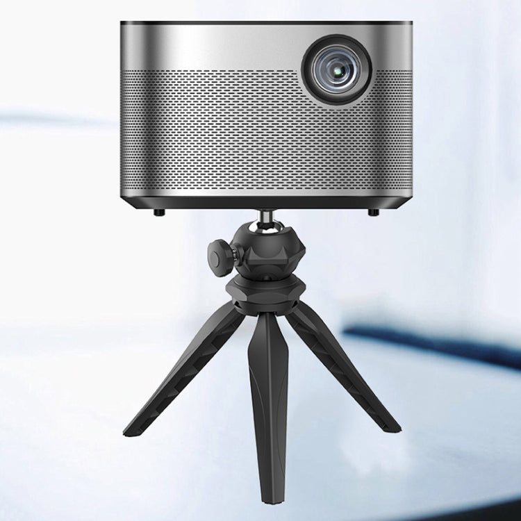 TBD06054334_B9.jpg@d10ae247ba374187e94f28949da8dab0