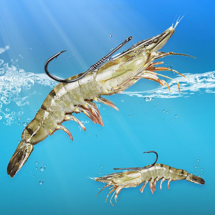 TBD06058349_B8.jpg@578c54b0d8be4aedf6ae78addc070b9e