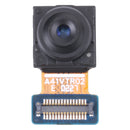 EDA003597301.jpg@62fd2f88495675fadae267aa05724eae