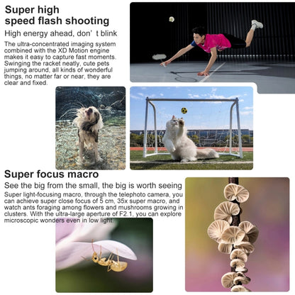 EDA0064259_B3.jpg@0e3657bccb92858c70a69e9157e26695