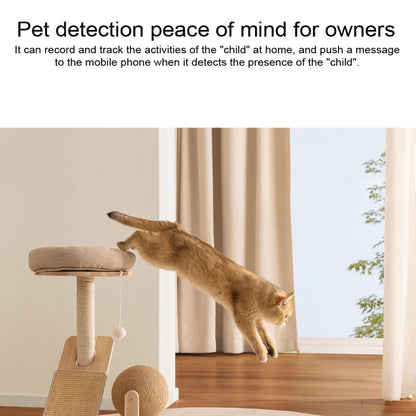 EDA007117001A_1.jpg@7be6475a7543591f3e87ffb8df0d1227