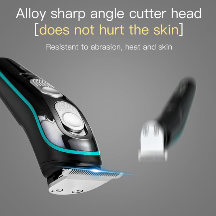 EDA007604501A_7.jpg@dbb462448dadc28f3b52dd40d066798b