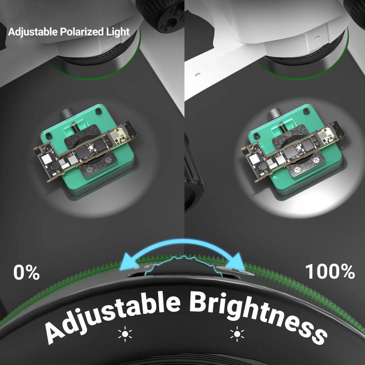 EDA0078681_2.jpg@c23275122df89f4e7ff1470d002c62d2