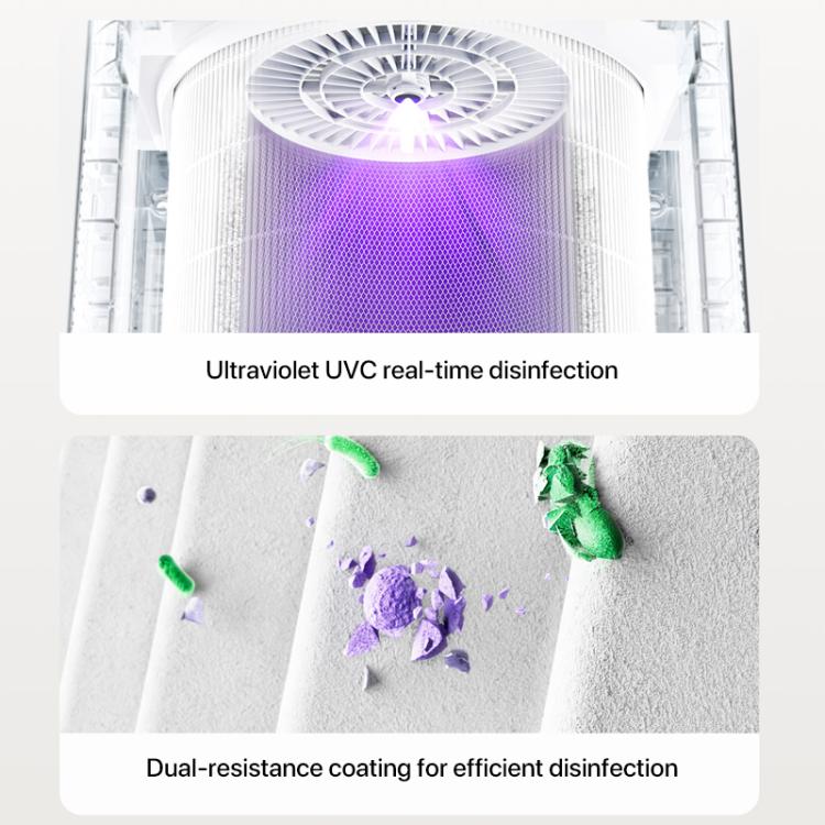 EDA007893901A_5.jpg@400f50c7e3e10fdb284564f4177bbd3c