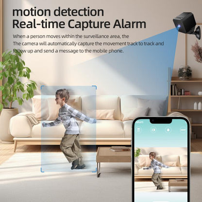 EDA007912901A_6.jpg@d919c0697eb889bd06df8aaa7e0fc672