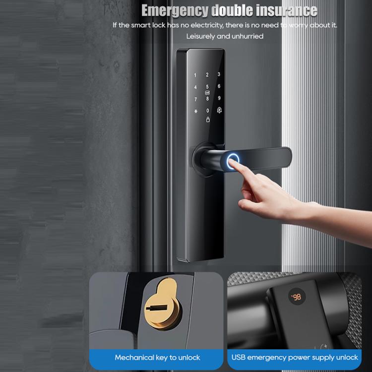 EDA007952802A_5.jpg@e5141a4d1c834cd0305faaf9433ac758