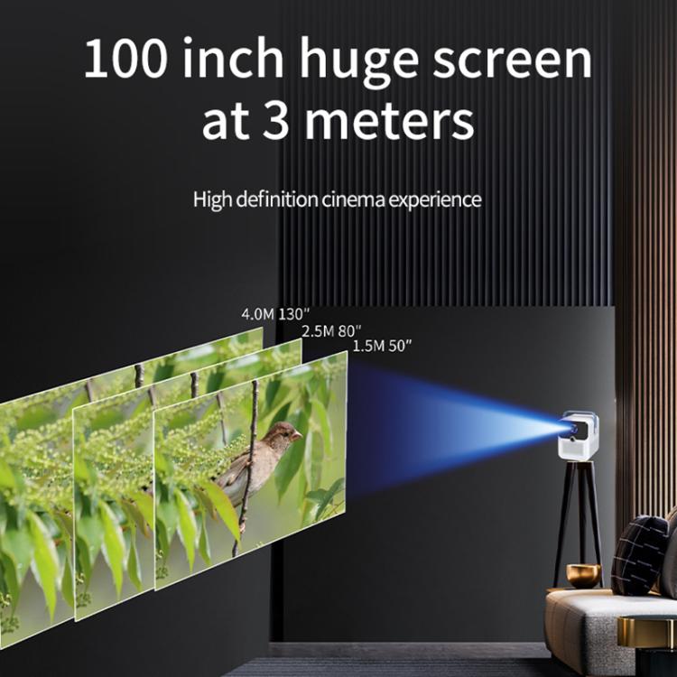 EDA0079889_B4.jpg@ea9c244fa2574839c11caa37bb40ca7f