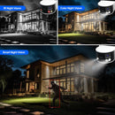 EDA008136901D_10.jpg@777bea0db6629d5a8fae2eb3570e1c18