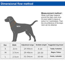 EDA0082263_B7.jpg@f9879afbb40565ccd35c32cea28d0282