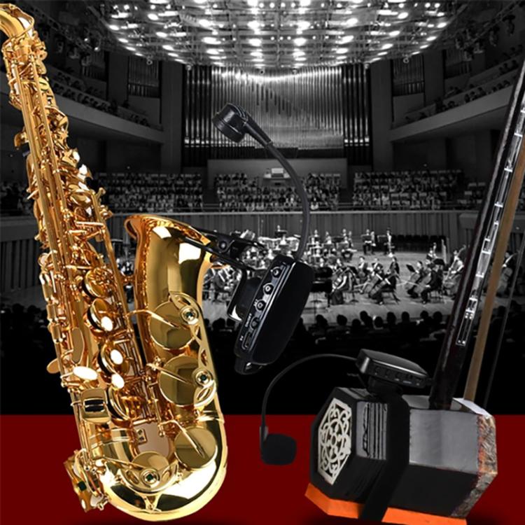 EDA008264301A_3.jpg@7050cab872ef2f52259c001aa61479e2