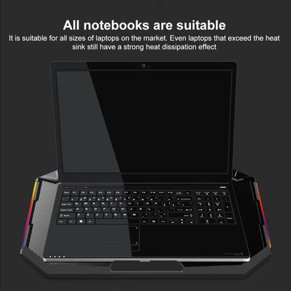 EDA008281601A_7.jpg@da1b1a996638b6d53ce05a0339f13d8e