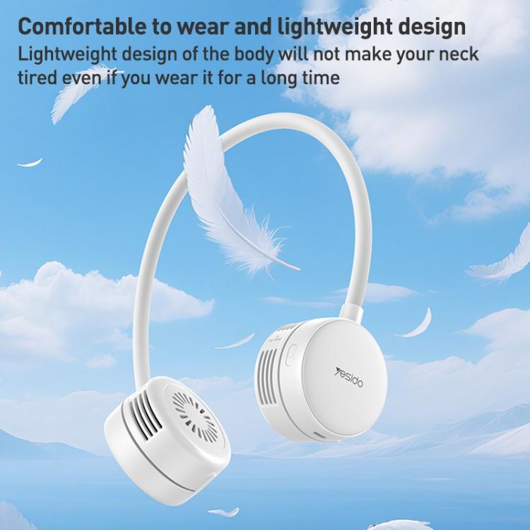 EDA008295001A_8.jpg@ff9917120b9cc94efc99f0407f936faf