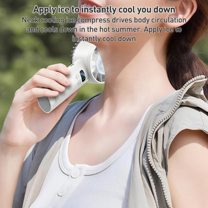 EDA008295301A_3.jpg@6c09378a7b62b2733f41bb76bfc5be6d