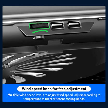 EDA0083194_B9.jpg@530e2605471713ca873f608d39343772