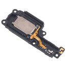 EDA008419717_3.jpg@d434f9c5a783dc2cc3cdd6c7f1f22ac1