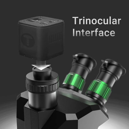 EDA0084308_2.jpg@ef0d921f3f0774adf4fb22686b08e79a