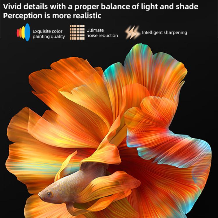 EDA0084366_B4.jpg@ee5ca70872eca1d03f5cbe2bc105bfa4