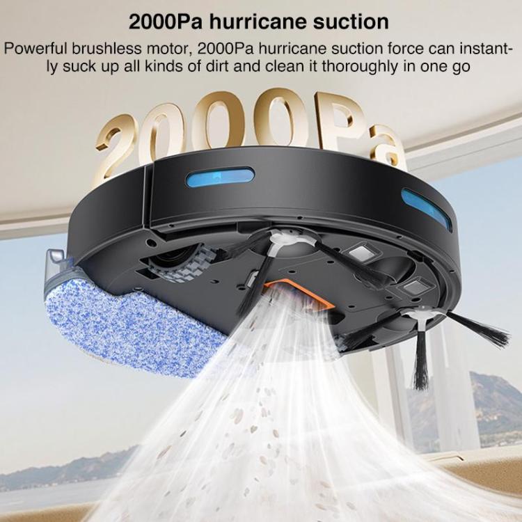 EDA008499501A_5.jpg@468077fe3eaa7b5910e8976f7576d2e0