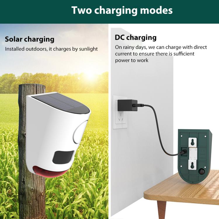 EDA008589601B_5.jpg@404366f047325950c6c3a5293a7b7276