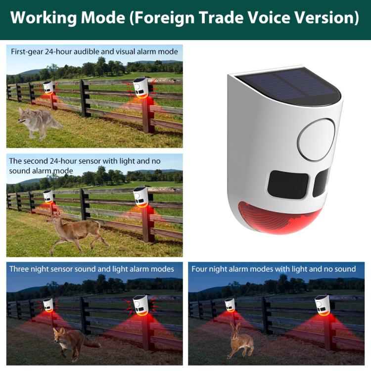 EDA008589601B_6.jpg@d501a236ae1b958643fdaa910de92eb4