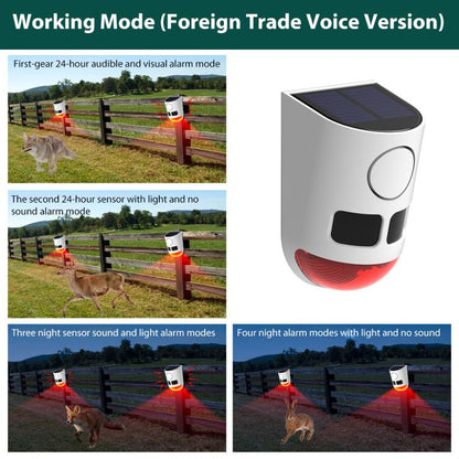 EDA008589601B_6.jpg@d501a236ae1b958643fdaa910de92eb4