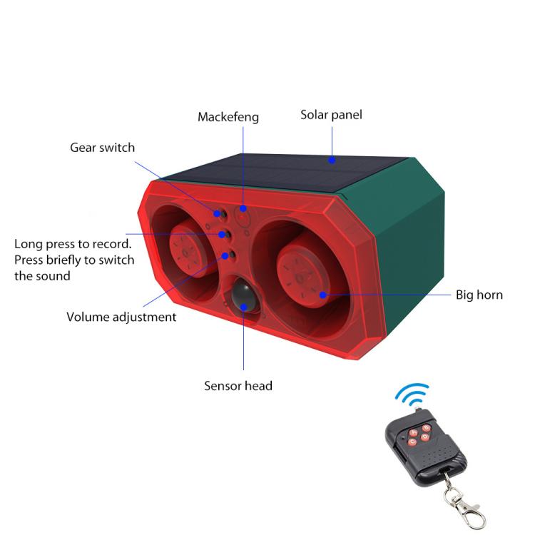 EDA0085906_2.jpg@ce1791b9665ee1ff41678017325cde4e