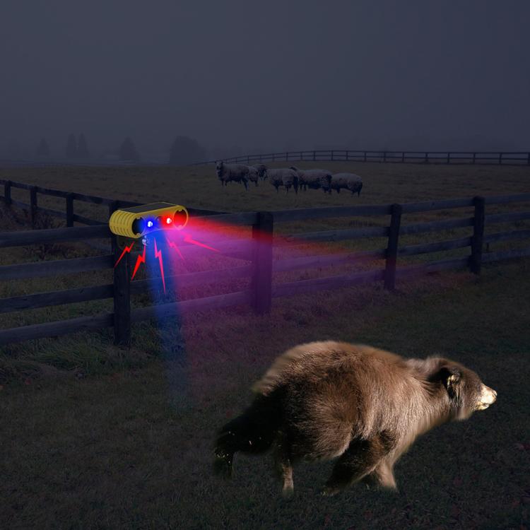 EDA0085906_8.jpg@340329fd20cb2377f8f7a3f0626de080