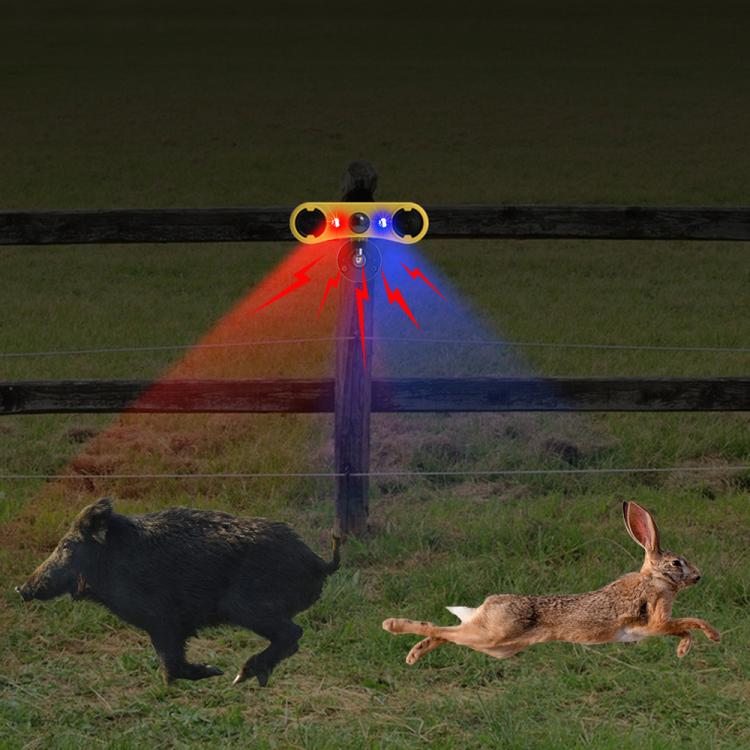 EDA0085906_9.jpg@967ddcb941b7dae945a5623c73914f99