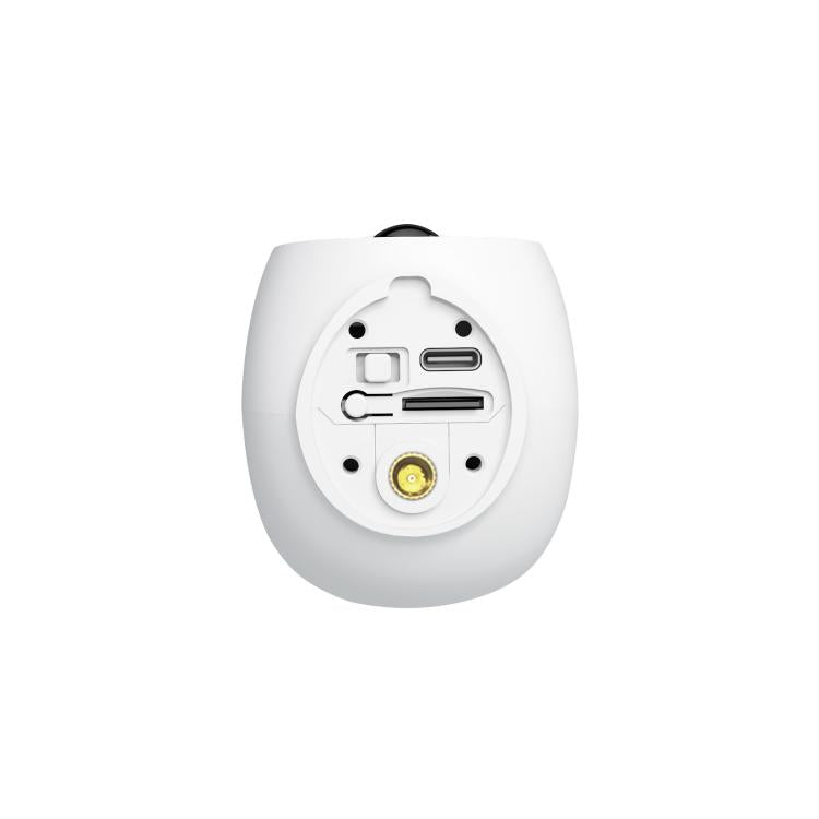 EDA008603801A_2.jpg@4e15153a62aea4289285def1623077a9