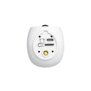 EDA008603801A_2.jpg@4e15153a62aea4289285def1623077a9