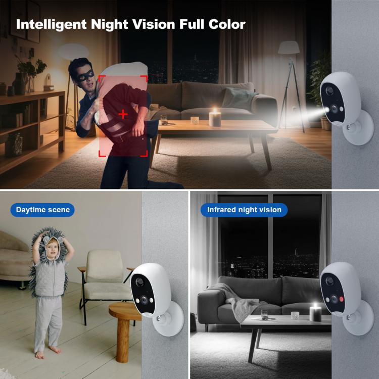 EDA0086043_B8.jpg@2d3c5617e0c4a2a848475c6797d16911