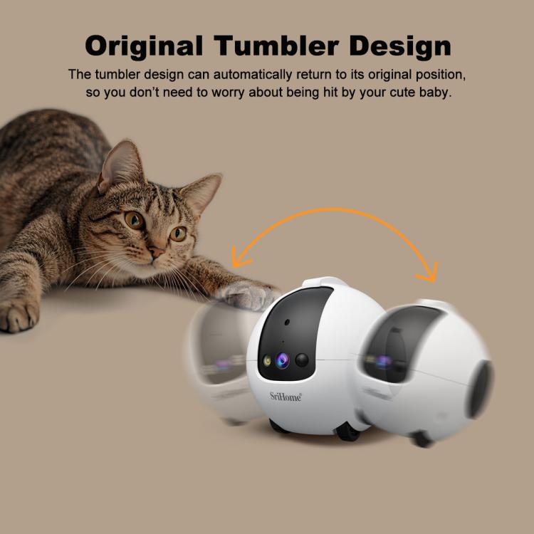 EDA0087543_B8.jpg@326ccf5a5b8ba237473b0f93b0c4239f