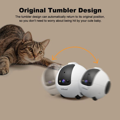 EDA0087543_B8.jpg@326ccf5a5b8ba237473b0f93b0c4239f