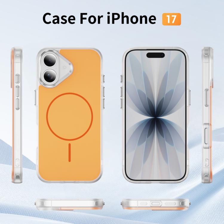 EDA008812203A_2.jpg@f651322d1a59bb66db59059fd20d6cd6