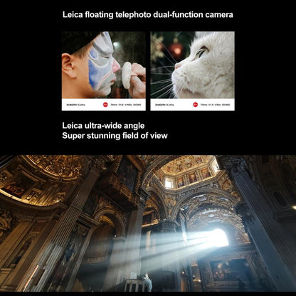 MPH2832_B12.jpg@c0752d802c130490a852e7edcd14136d