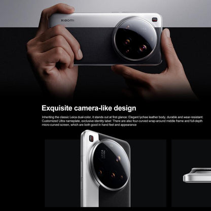 MPH2832_B4.jpg@625509926373464884218a37824a9e74