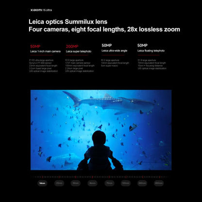 MPH2832_B7.jpg@edc43397ce5b7f64cf33cc292a3d6383