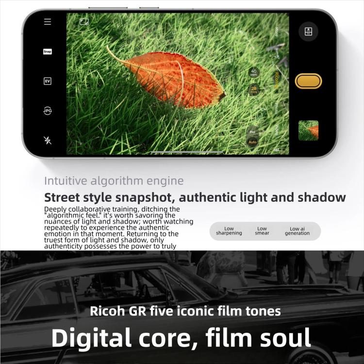 MPH4482_B8.jpg@2df79a4260b79444fe6c55b237e969b3