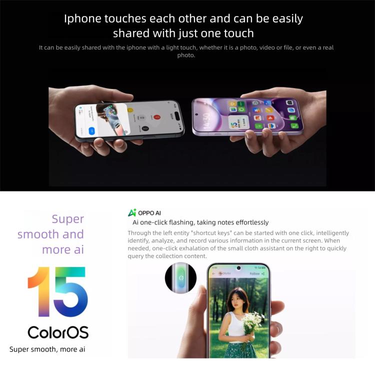 MPH4901_B12.jpg@ebd86d17b5737682edef9878eae221d1