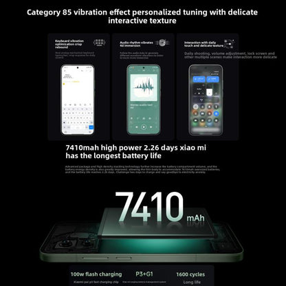 MPH5415_B8.jpg@27a04839a7a53385754c69f0628b4e5b