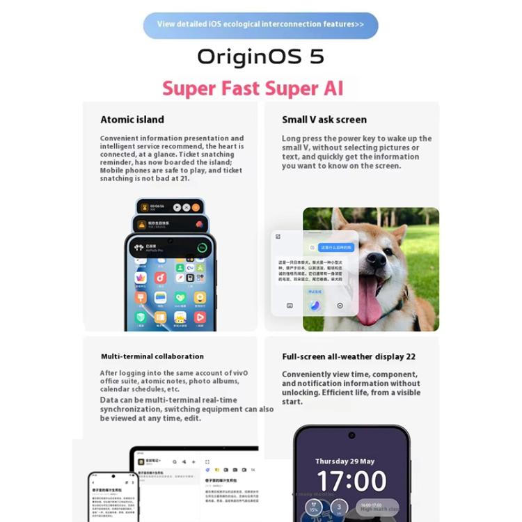 MPH5423_B25.jpg@15d769ba55fa6945750a0a6018ad245d