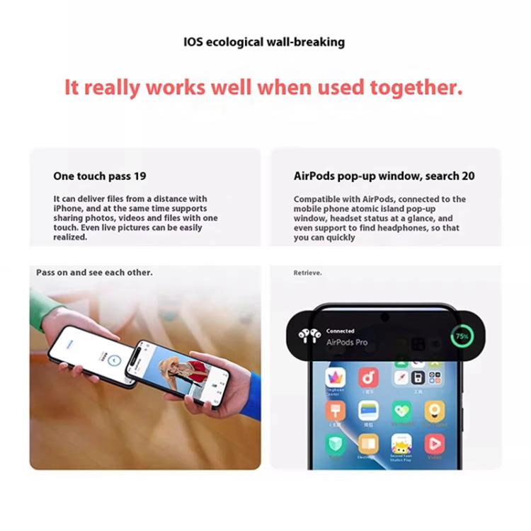 MPH5425_B24.jpg@72b4511d0897bbb77fb209f82e295209