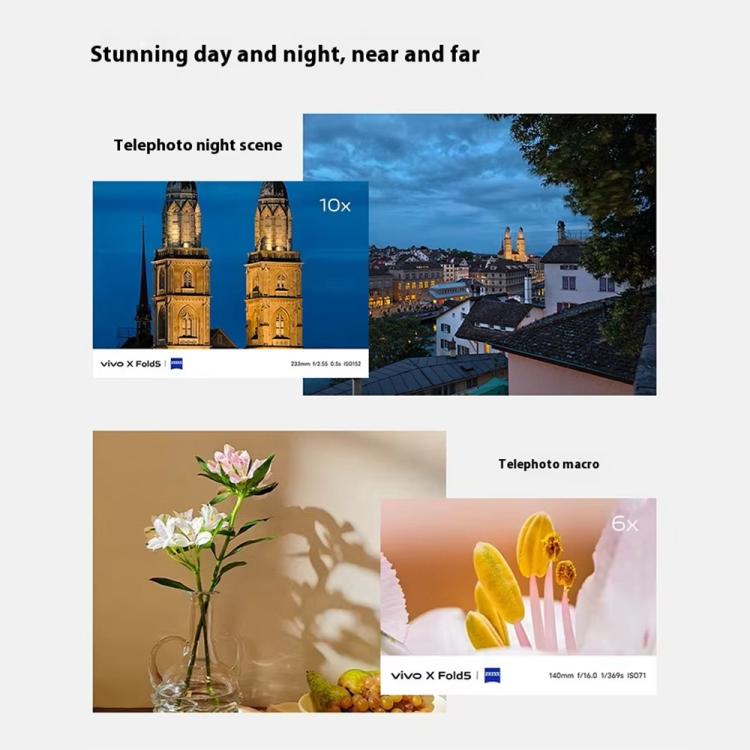 MPH5428_B15.jpg@412b03026a61ee79ee65a0d12e8c5a46