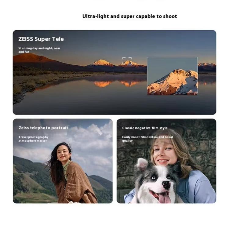 MPH5428_B5.jpg@b52144403f62038f13b9644966736c5b