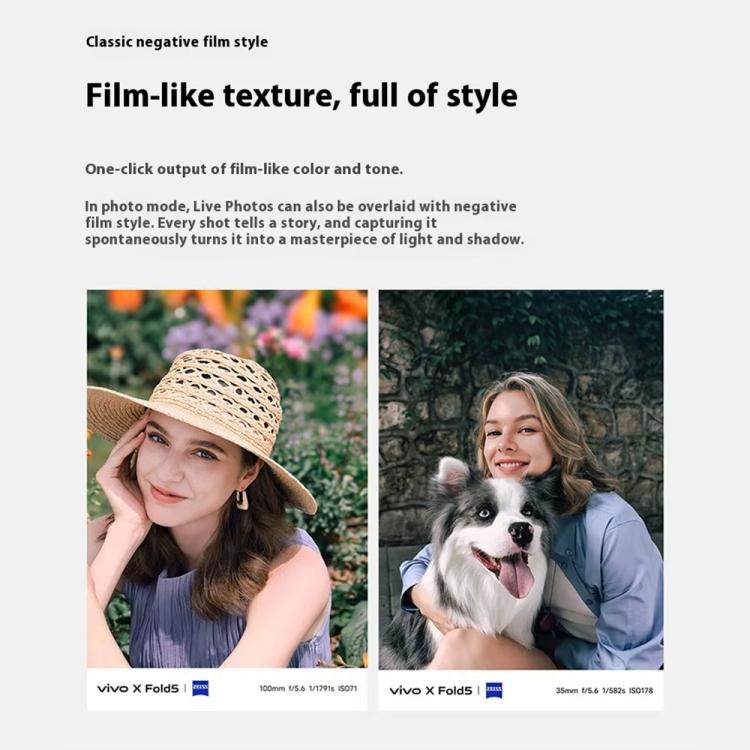 MPH5429_B17.jpg@de0ed1869f82912b69c20f74e9989edf