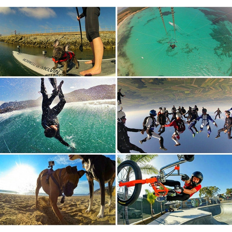 PKT16US_15.jpg@3ac41ddcb6f17b5b3dda5c14ef552391