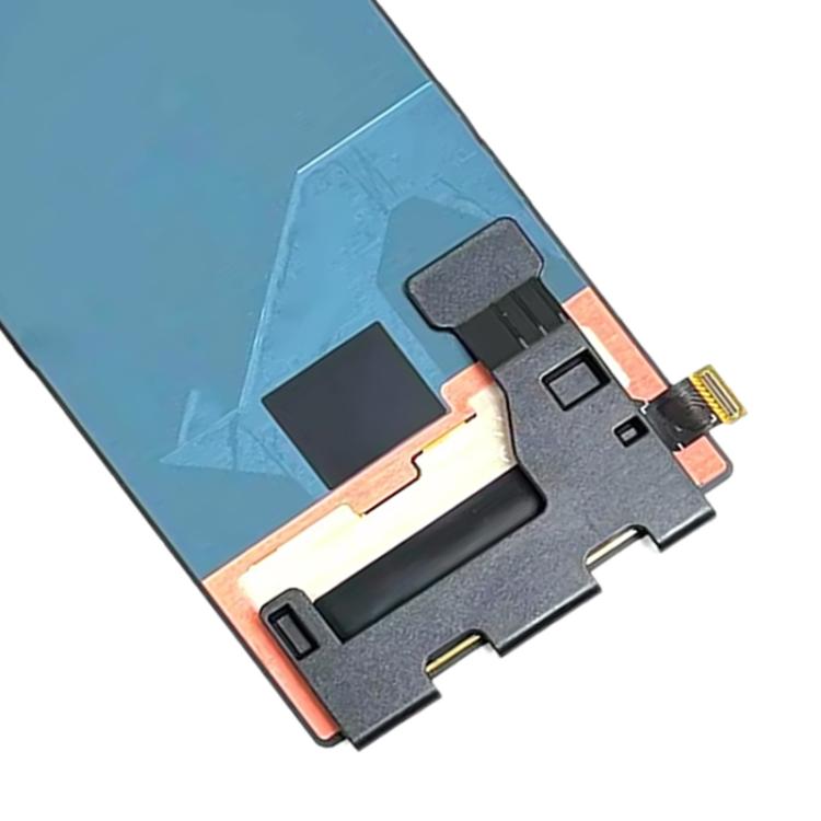 RPS0182_4.jpg@8799e7a9634a8b029478afa466066427