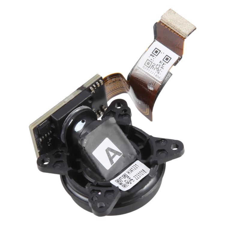 RPS0290_2.jpg@ddd2e1165220a46f65e7f7397831792f