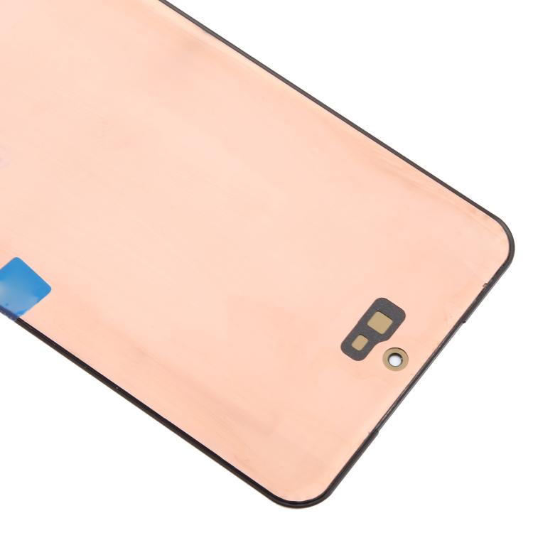 RPS0309_4.jpg@09ec917e2eafa38cfec15ebc07a52a4c