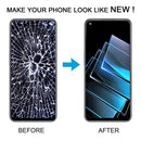 RPS0328_5.jpg@a1a206ed0cc9348fa300af37389e2551